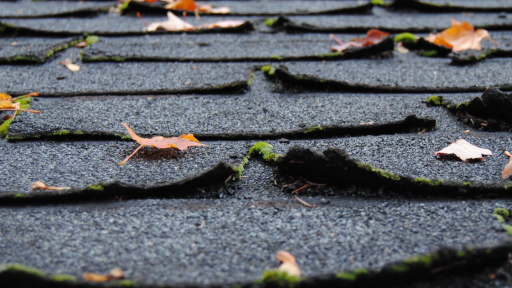 Asphalt Shingle Roofing in King of Prussia, PA